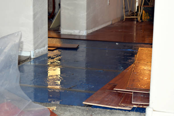 Professional Emergency Water Damage Restoration technician working in Alum Creek, WV